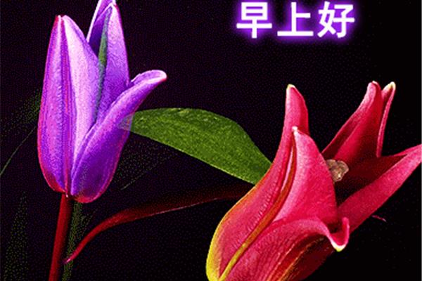 祝福的唯美句子