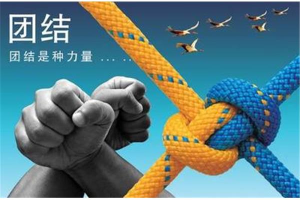 团结就是力量事例
