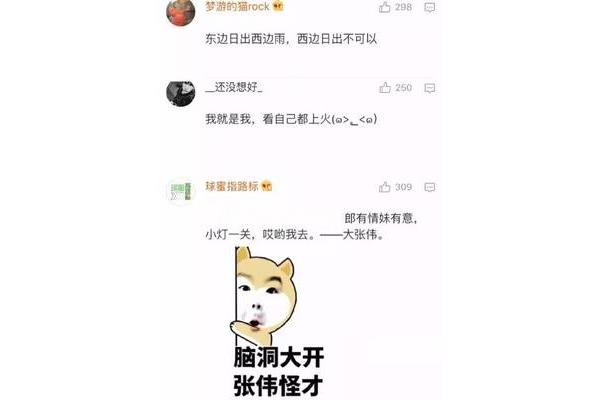 大张伟经典语录