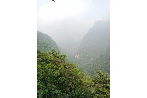 什么山什么野