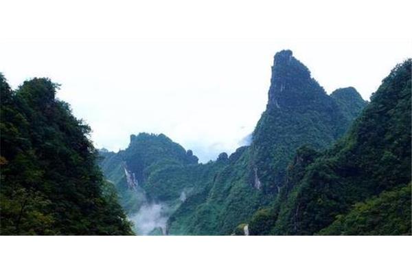 什么山什么野