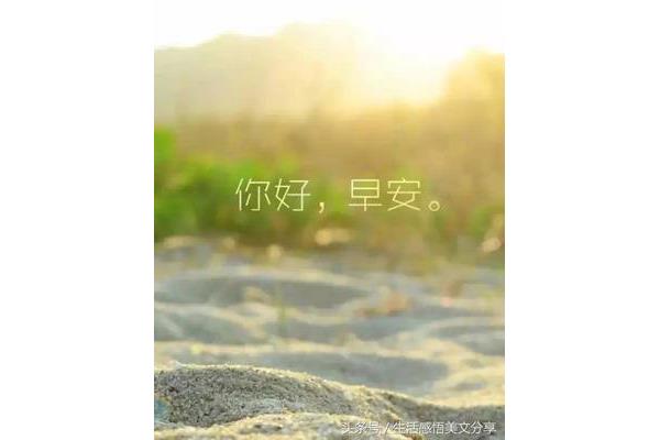 每日心语正能量