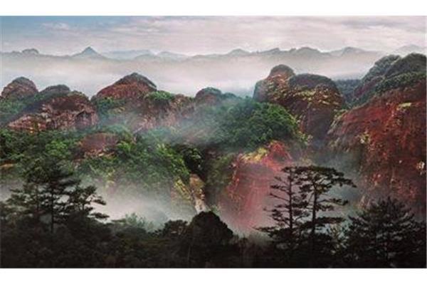 什么山什么野