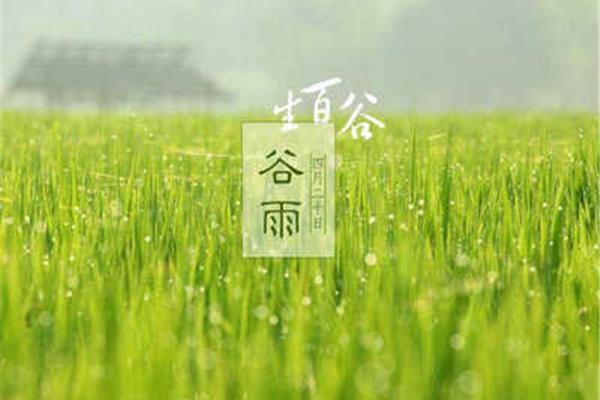 谷雨的谚语