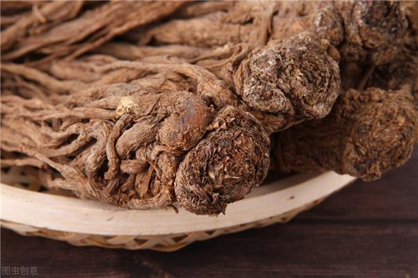 补肝的中药