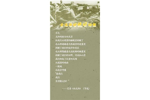 爱国的诗词
