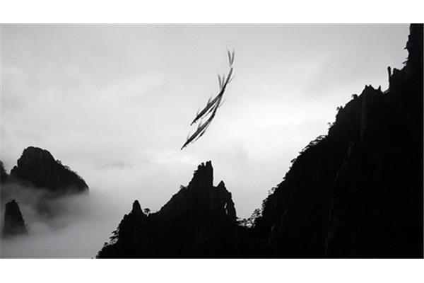 逍遥游的主题思想