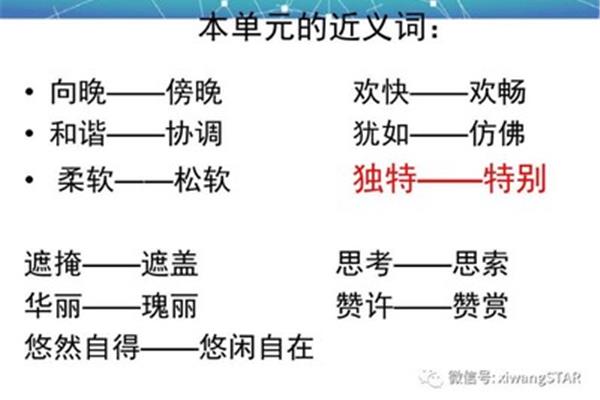 协调的近义词