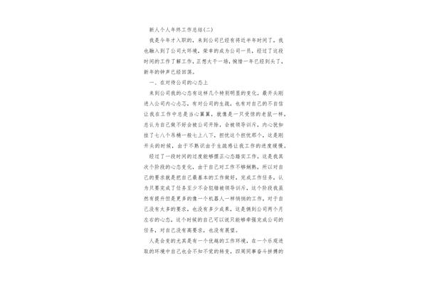 新人年终总结