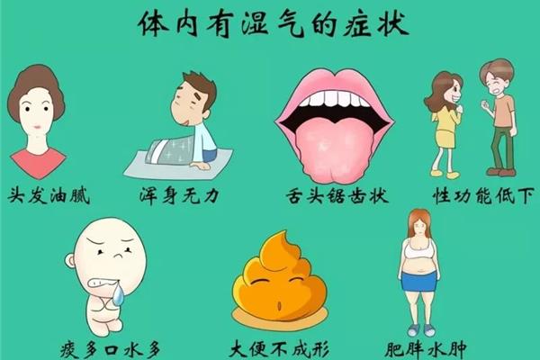 湿气重会胖吗