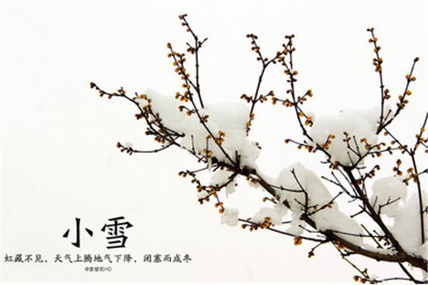 关于梅的诗句古诗