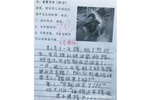 夸学生的评语