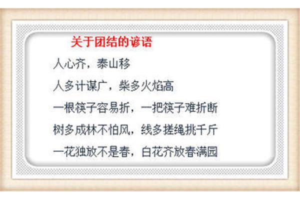 关于树的谚语
