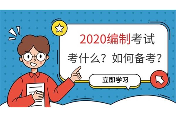教师编怎么考