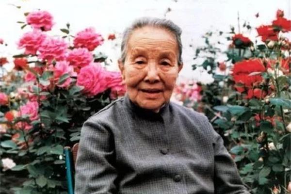冰心长得漂亮吗