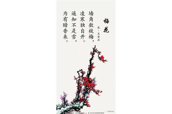 关于梅的诗句古诗