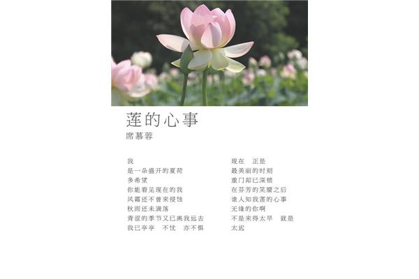 关于莲的诗