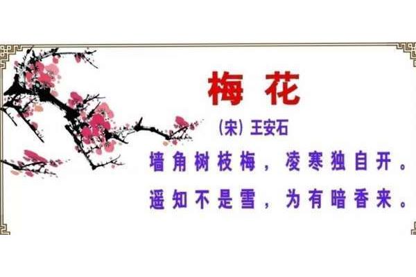 关于梅的诗句古诗