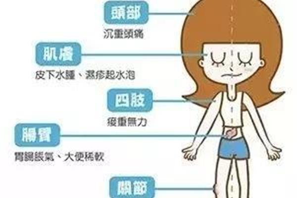 湿气重会胖吗