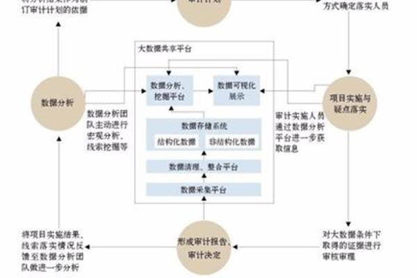 审计的职能