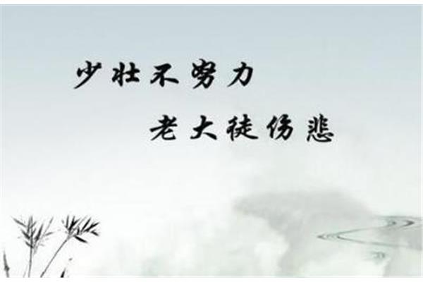 关于创造的名言
