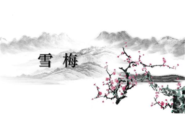 关于梅的诗句古诗