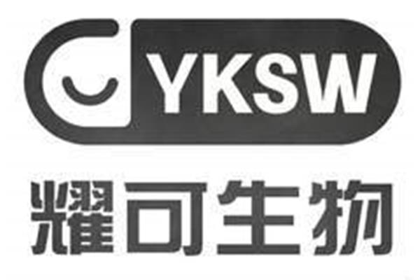护士进修总结
