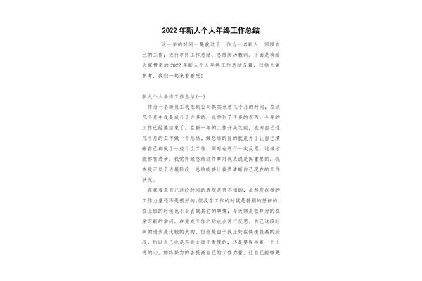 新人年终总结