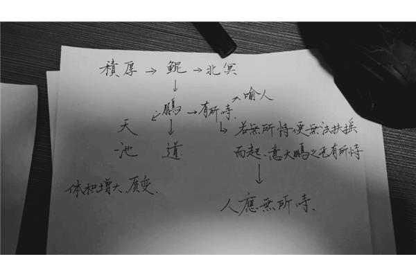 逍遥游的主题思想