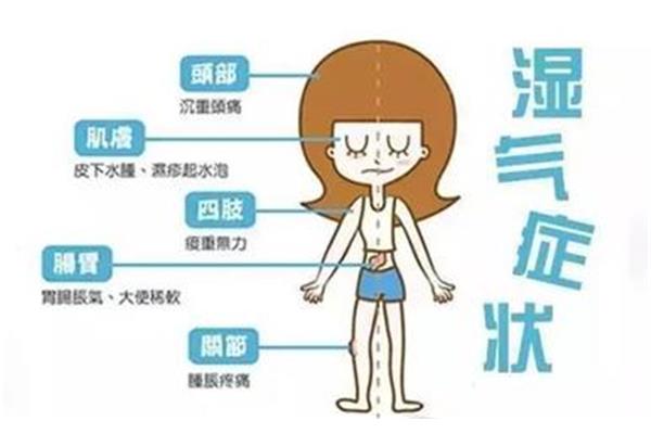 湿气重会胖吗