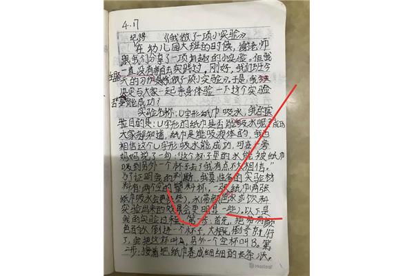 实验作文200字