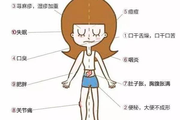 湿气重会胖吗