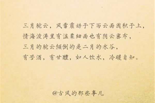 关于莲的诗