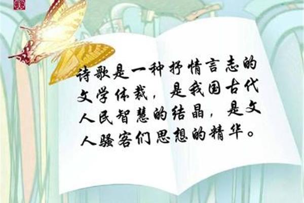观沧海体裁