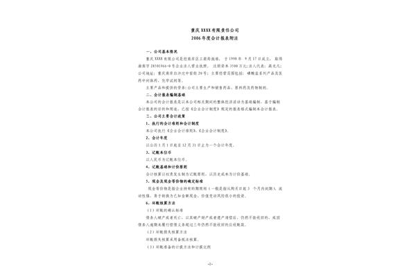 报表附注模板