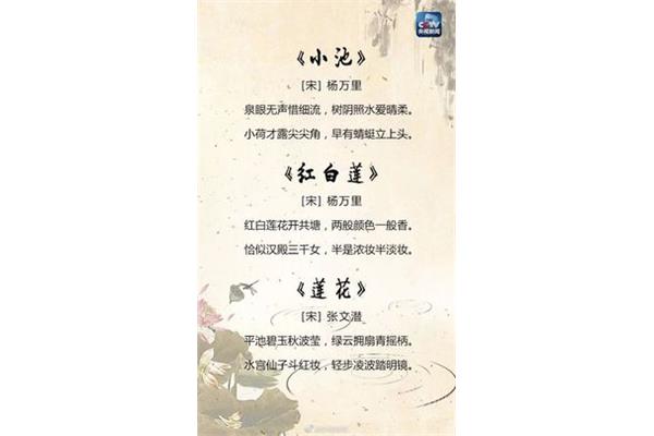 关于夏天的诗词