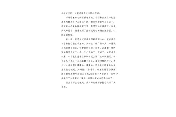 小仓鼠作文