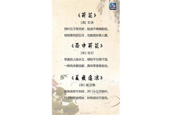 关于夏天的诗词