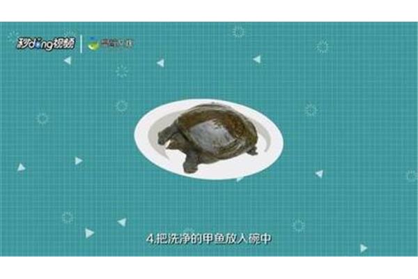 清炖甲鱼汤怎么做