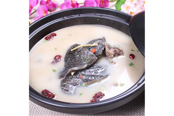 清炖甲鱼汤怎么做