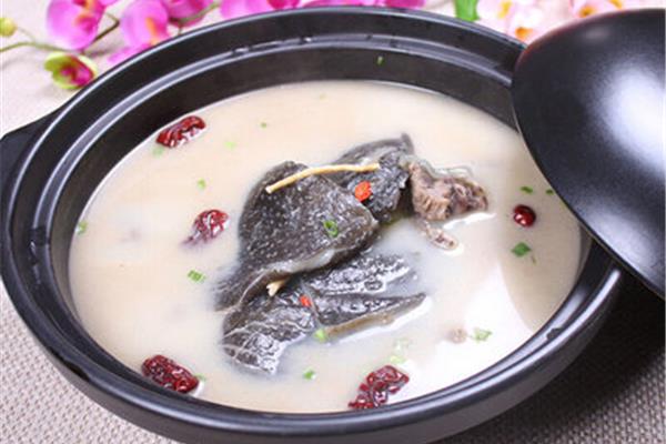 清炖甲鱼汤怎么做