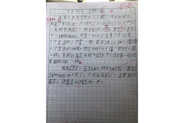20字日记