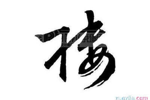 楼的成语开头