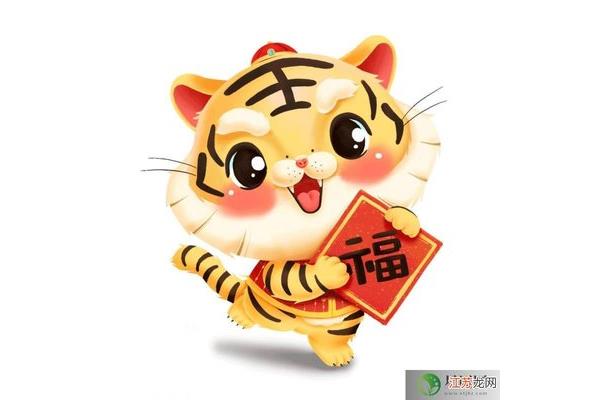 含虎的成语