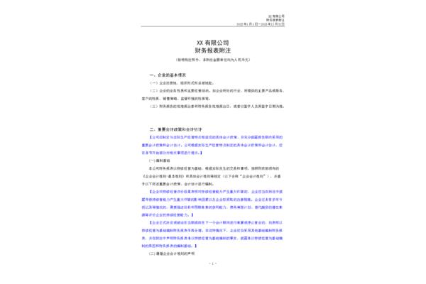 报表附注模板