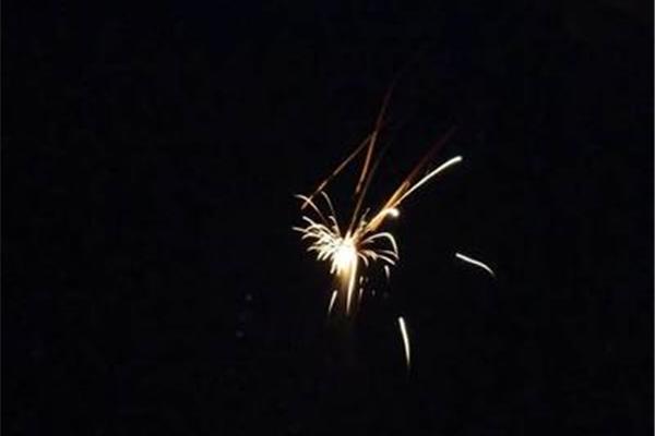滴滴筋烟花学名