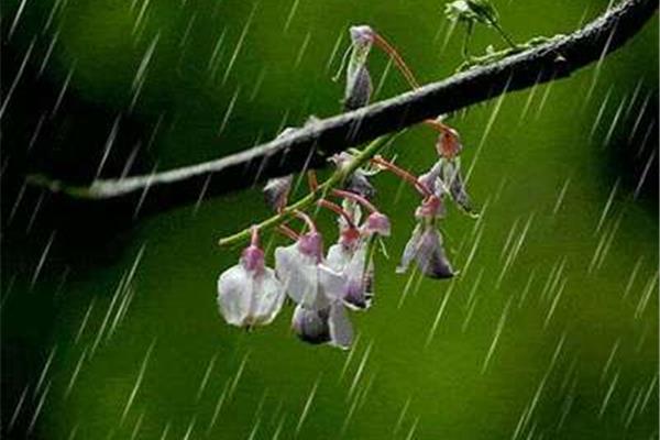 描写春雨的古诗