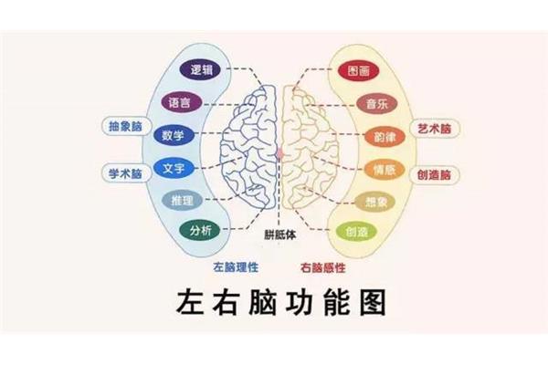 数学思维是什么