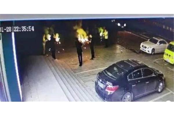 滴滴筋烟花学名