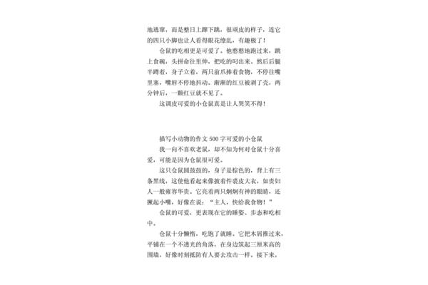 小仓鼠作文